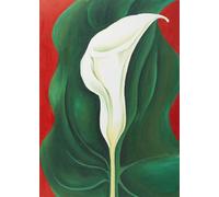 GYTRI CGFHJ Georgia O'Keeffe Flower Poster Color Prints Abstract Wall Art Picture《White Lily》Georgia O'Keeffe Canvas Painting For Home Decor 40x60cm Unframed