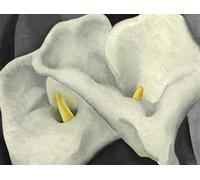 GYTRI CGFHJ Georgia O'Keeffe Poster Color Prints Abstract Wall Art Pictrure《Two Calla Lilies》Georgia O'Keeffe Canvas Painting For Home Decor 50x80cm Unframed
