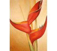 GYTRI CGFHJ Georgia O'Keeffe Poster Color Prints Abstract Wall Art Picture《Canna Flower》Georgia O'Keeffe Canvas Painting For Home Decor 40x60cm Unframed
