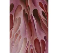GYTRI CGFHJ Georgia O'Keeffe Poster Color Prints Abstract Wall Art Picture《Flower》Georgia O'Keeffe Still Life Canvas Painting For Home Decor 40x60cm Unframed