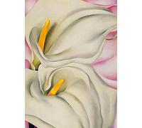 GYTRI CGFHJ Georgia O'Keeffe Poster Color Prints Abstract Wall Art Picture《Flower Stamen》Georgia O'Keeffe Canvas Painting For Home Decor 40x60cm Unframed