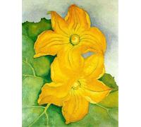 GYTRI CGFHJ Georgia O'Keeffe Poster Color Prints Abstract Wall Art Picture《Pumpkin Flowers》Georgia O'Keeffe Plant Canvas Painting For Home Decor 40x60cm Unframed
