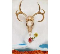 GYTRI CGFHJ Georgia O'Keeffe Poster Color Prints Abstract Wall Art Picture《Summer Days》Georgia O'Keeffe Still Life Canvas Painting For Home Decor 40x60cm Unframed