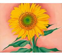GYTRI CGFHJ Georgia O'Keeffe Poster Color Prints Abstract Wall Art Picture《Sunflower》Georgia O'Keeffe Plant Canvas Painting For Home Decor 50x70cm Unframed