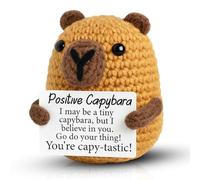 GZGRYTRC Capybara Gifts, Positive Crochet Animals for Emotional Support, Handmade Crochet Capybara Gift for Women, Cute Home and Office Decoration, Thank You Gift for Teachers and Friends