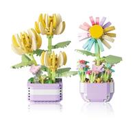 GZGXKJ 2 Succulents Bonsai Blocks Kit Creative DIY Mini Particle Flowers Botanical Collection Building Toy for Home Decor and Idea Gifts for Women, Men, Her & Him