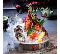 GZKDKZB Sashimi Sushi Plate Molecular Cuisine Cold Dip Tray Chilled Serving Dish Versatile Creative Dry Ice Platter Series Tableware (Color : Black, Size : 23.8cm)