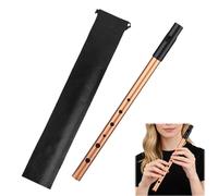 GZLANYA Tin Whistle, Irish Penny Whistle in D Key with Carry Bag & Fingering Chart, Traditional Musical Instrument for Beginners & Adults, Premium Six-Hole Penny Slide Whistles(Gold)