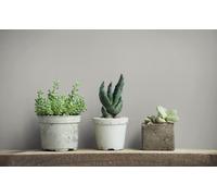 GZSZ non-woven wallpaper plain linen textile look light grey 34838 (3,37£/1qm)