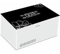 GZYHDC Medicine Refrigerator, Insulin Refrigerator, Insulin Small Cooler, Portable Insulin Cooler Refrigerated Box,Car Refrigeration Case, Small Insulin Fridge