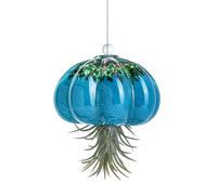 H&D HYALINE & DORA - Handmade blown glass hanging planter for live succulent air plants (no plants)