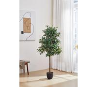 H&O Direct 190cm Artificial Olive Tree Decorative Plant in Green H&O Direct Green