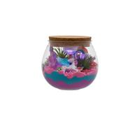 H&O Direct DIY Unicorn Terrarium Kit Ornament with Remote Control H&O Direct Multicolor