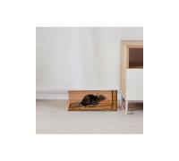 H&O Direct Quad Plastic Humane Rodent Traps - Live Catch Cage Set in Brown H&O Direct Brown