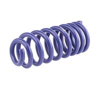 H&R 28693HA1 Coil spring