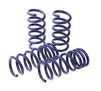 H&R 29270HA2 Performance Lowering Springs Pair Rear Suspension Replacement