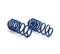 H&R lowering springs 95100-1 for Renault R5GT Turbo Phase II spring kit