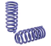 H&R Lowering Springs compatible with Mercedes E-Class W211 K Touring 2WD from 986kg FA-Load 2003- FA30mm