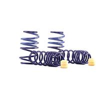 H&R Lowering Springs compatible with Seat Leon Cupra/Cupra R/Volkswagen Golf VII Sedan/GTD/GTI/TCR up to 1010kg FA-Load 2012-FA25-45/RA25-45mm
