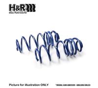 H&R Lowering Springs Rear 20-40mm for VW Bus T4, 2WD + 4WD, 1991>2003 :29429-1
