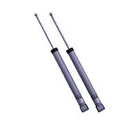 H&R Performance Shock Absorber 2x Rear Axle Rebound 0 25/32in