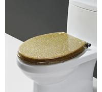 H,Resin Round Toilet Seat, Transparent Glitter Toilet Seats, Quiet Slow Close Toilet Seat with Stainless Steel Hinges, One-Click Quick Disassembly, Easy to Install and Clean, 42x36cm