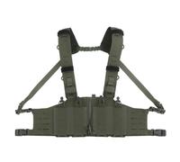 H-shape Strap Chest Rig Zipper Connection Fixed Quick Rlease, MOLLE Travel Pack Vest With 4 Mag Pouch, For Men Women Adult Sports Workouts Cycling Running(RG)