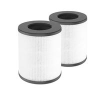 H13 True HEPA Replacement Filter Compatible With Tenergy Renair Cool-Living CL-6070A Beaba Tredy TD-1300 HEPA Air Filter (Color : 2PCS)