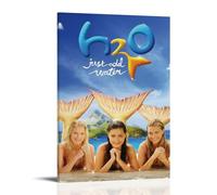 H2O：Just Add WaterWaterproof Posters Wall Art Posters Waterproof Home Printing Moisture-proof Easy to Install And Fade ResistantFrame-style16x24inch(40x60cm)