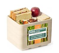 HAAGO 100 Biodegradable Compartment Plates 26x21cm - 5 Section Sugarcane Bagasse Trays - Strong, Compostable & Eco Friendly Paper Plates for Hot & Cold Food, Party & Catering