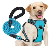 haapaw No Pull Dog Harness Adjustable Reflective Oxford Easy Control Medium Large Dog Harness with a Free Heavy Duty Dog Lead