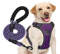 haapaw No Pull Dog Harness Adjustable Reflective Oxford Easy Control Medium Large Dog Harness with a Free Heavy Duty Dog Lead