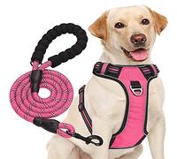 haapaw No Pull Dog Harness Adjustable Reflective Oxford Easy Control Medium Large Dog Harness with a Free Heavy Duty Dog Lead