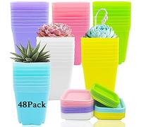 Haawooky 48 Pack 3 Inch Colorful Plastic Plant Pot,Plastic Square Nursery Pots,Seedling Nursery Pots with Saucers for Garden,Home,Office,Balcony Decor,Garden Gifts