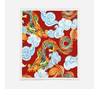 HABEAT 3D Printed Dragon Sherpa Blanket Teenager 130x150cm Microfiber Soft Warm Fluffy Push Dragon Throw Blanket for Bed Sofa Bedroom and Camping（style 133-6）