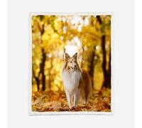 HABEAT 3D Printed Scottish Shepherd Dog Sherpa Blanket Adults 150x200cm Microfiber Soft Warm Fluffy Push Animals Dogs Throw Blanket for Bed Sofa Bedroom and Camping（style 142-14）