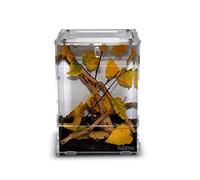 Habistat HabiStat - Clear Home - Medium - Transparent Design - Durable Glass Tank - Reptile Tank - Glass Enclosure - Wire Mesh Top - Side Ventilation - Suitable for Reptiles & Invertebrates