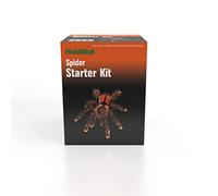 HabiStat - Spider Starter Kit - Includes Glass Terrarium, Compact Thermometer, Cave, Bedding, Moss, Dish, Tongs & Spray Bottle - Easy Set Up - Perfect For Beginners
