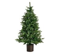 Habitat 5ft Premium Potted Artificial Christmas Tree