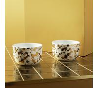 Habitat 60 Gold Edit Jackson Porcelain Nibble Bowl Set