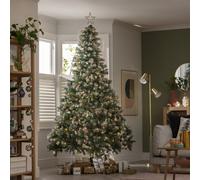 Habitat 8ft Pre lit Blue Oscar With Pine Cone Christmas Tree
