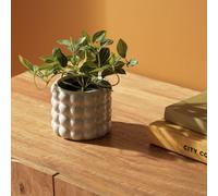 Habitat Artificial Green Small Trailing Plant - 17cm