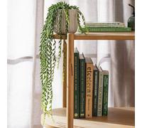 Habitat Artificial Green Succulent in Cream Ceramic Pot - 56cm