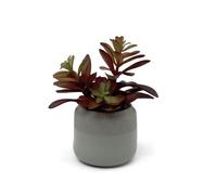 Habitat Artificial Succulent in Grey Pot