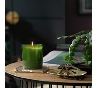 Habitat Boxed Candle - Fig Leaf & Amber