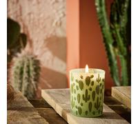 Habitat Boxed Candle - Texas