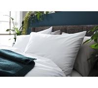 Habitat Cotton Lyocell Standard Pillowcase Pair - White