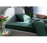 Habitat Cotton Rich 180 TC Leaf Green Fitted Sheet - Single
