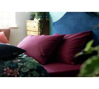 Habitat Cotton Rich 180 TC Plain Pillowcase Pair - Berry