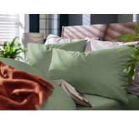 Habitat Cotton Rich 180 TC Standard Pillowcases 2 Pack-Green